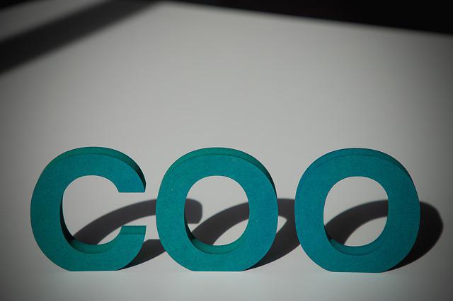 COO คือ อะไร แตกต่างจาก CEO อย่างไร